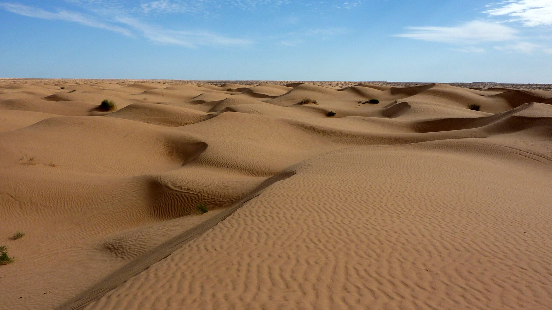 Sahara Desert