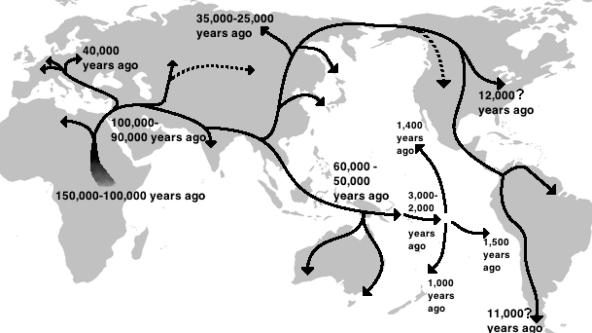 This is a recreation of a map that can be found at the Kyushu Museum website that shows the human migration path and dates Out of Africa as proposed by Saitou Naruya (Japanese:斎藤成也) professor at the (Japanese) National Institute for Genetics.http://www.mu