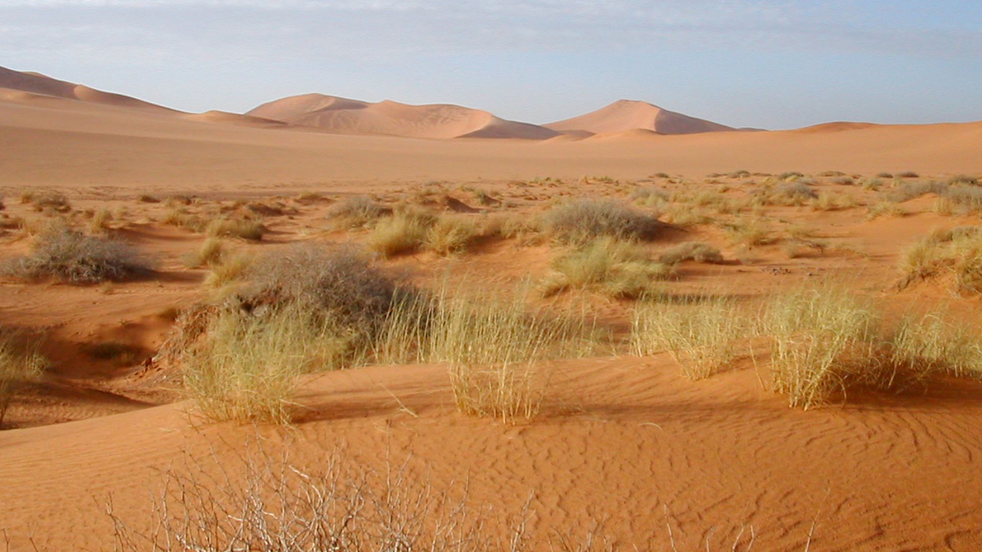 Location Algeria (near Tamanrasset)