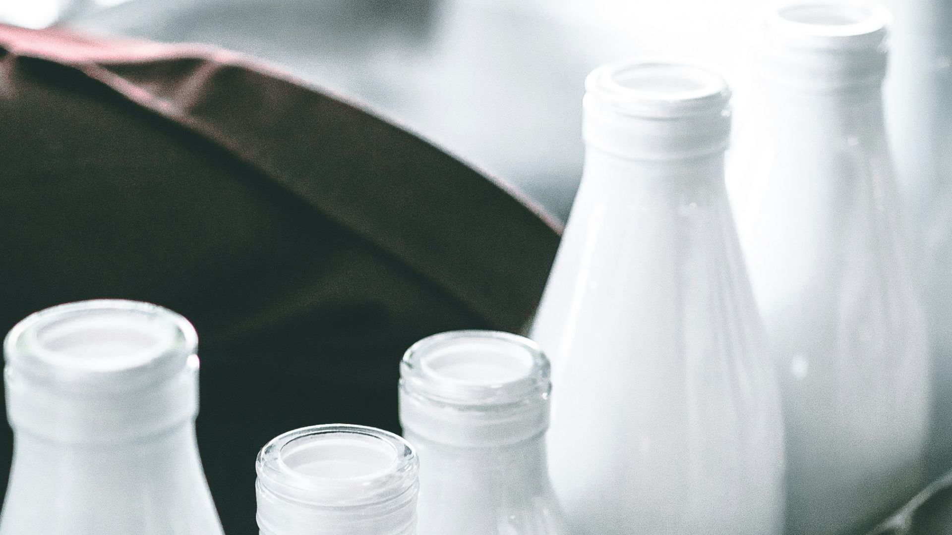 photo of milk bottle lot