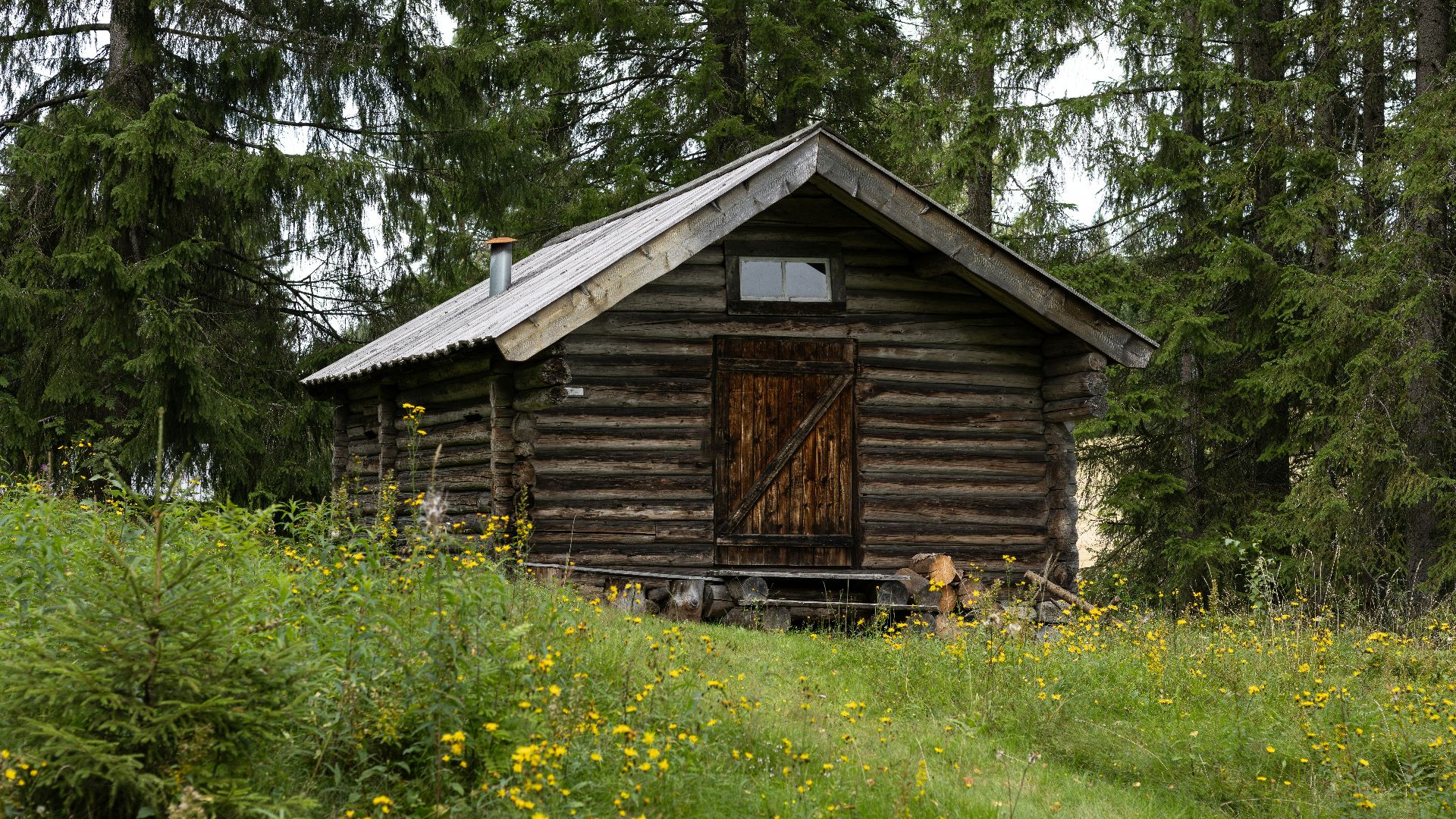 a small log cabin in a field of wildflowers
