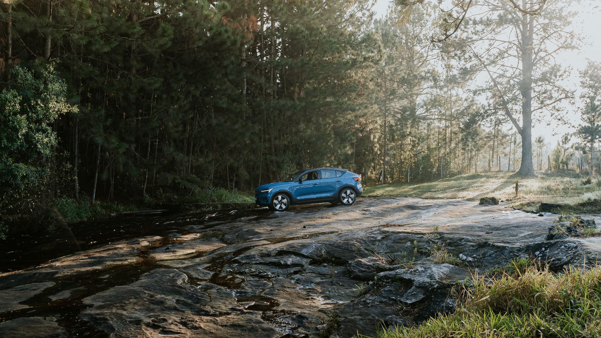 A blue SUV parked on a rocky trail surrounded by a lush green forest and sunlight.
