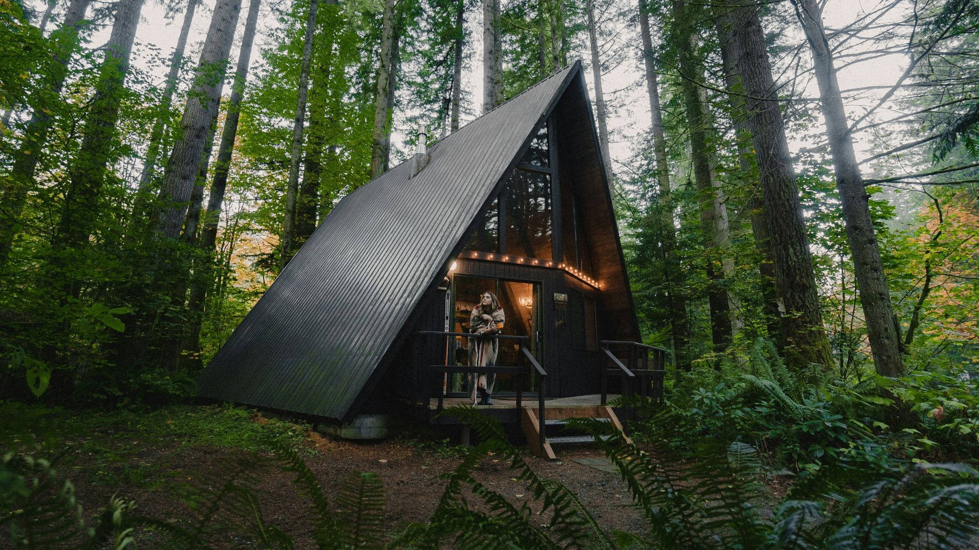 A small cabin in the middle of a forest