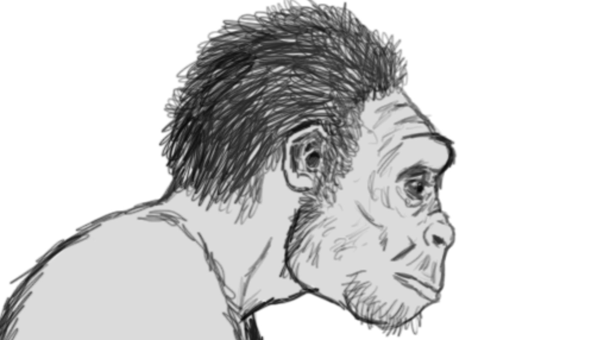 Illustration of Homo habilis cracking nut with hammer and anvil