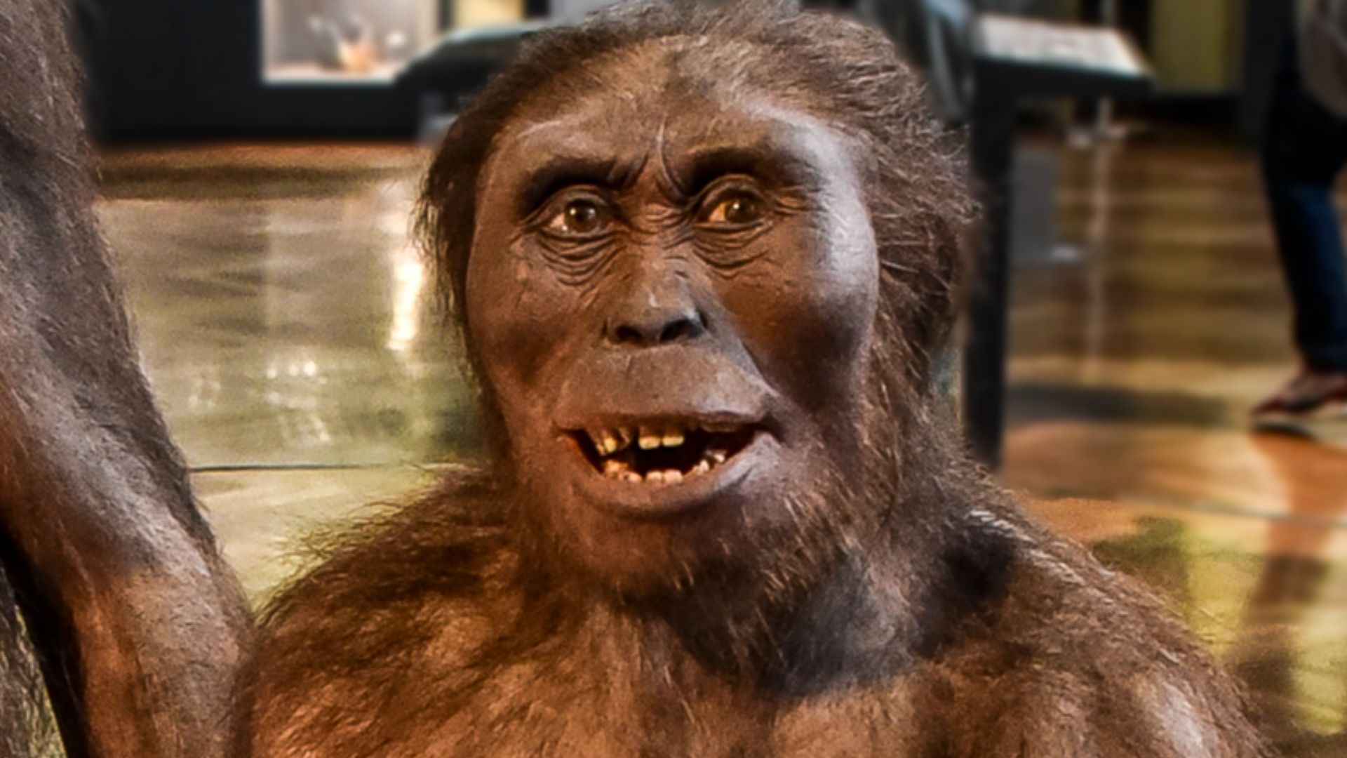 Australopithecus afarensis Naturhistorisches Museum Wenen 7-06-2023 11-13-12