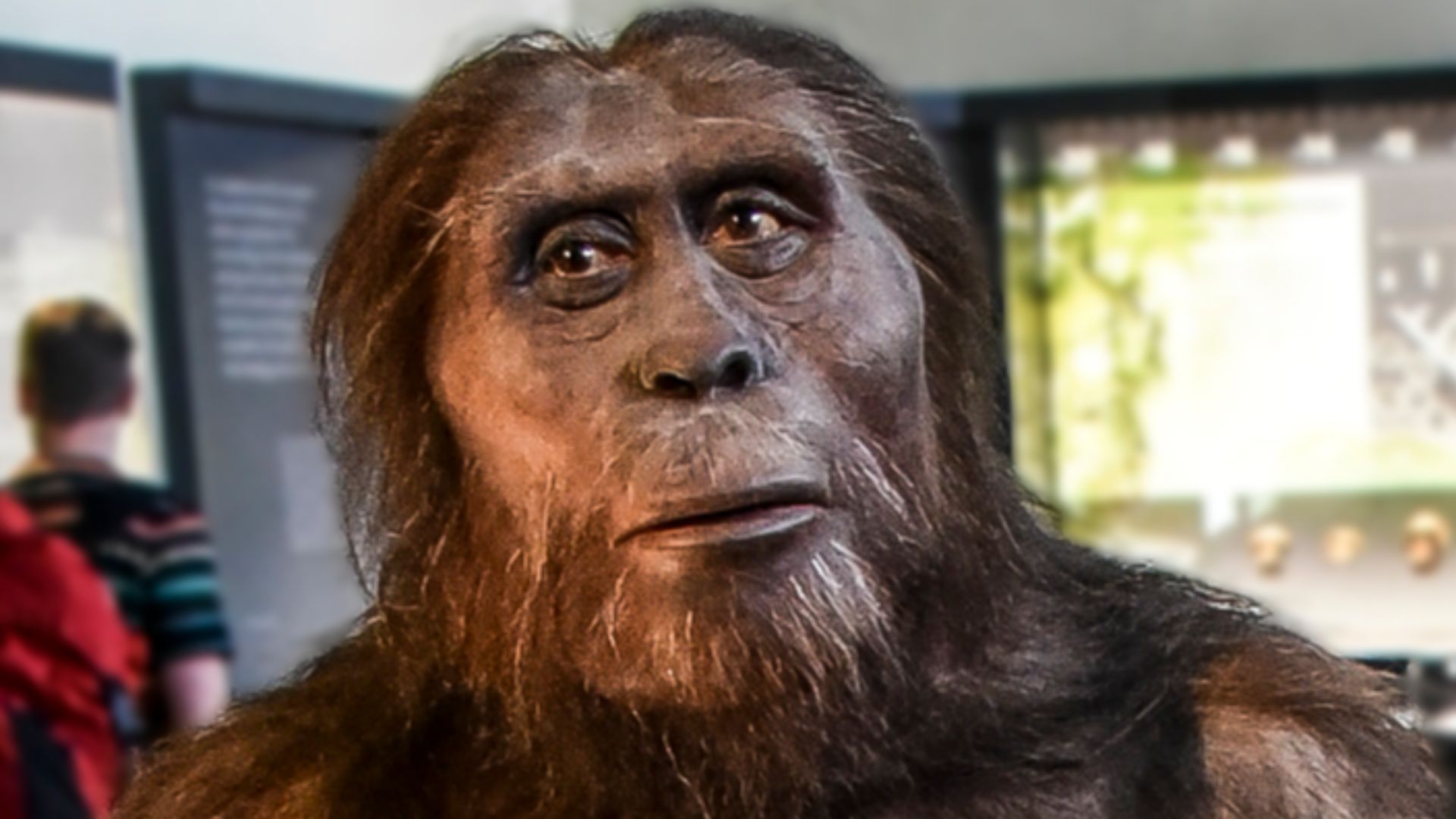 Australopithecus afarensis Naturhistorisches Museum Wenen 7-06-2023 11-13-12