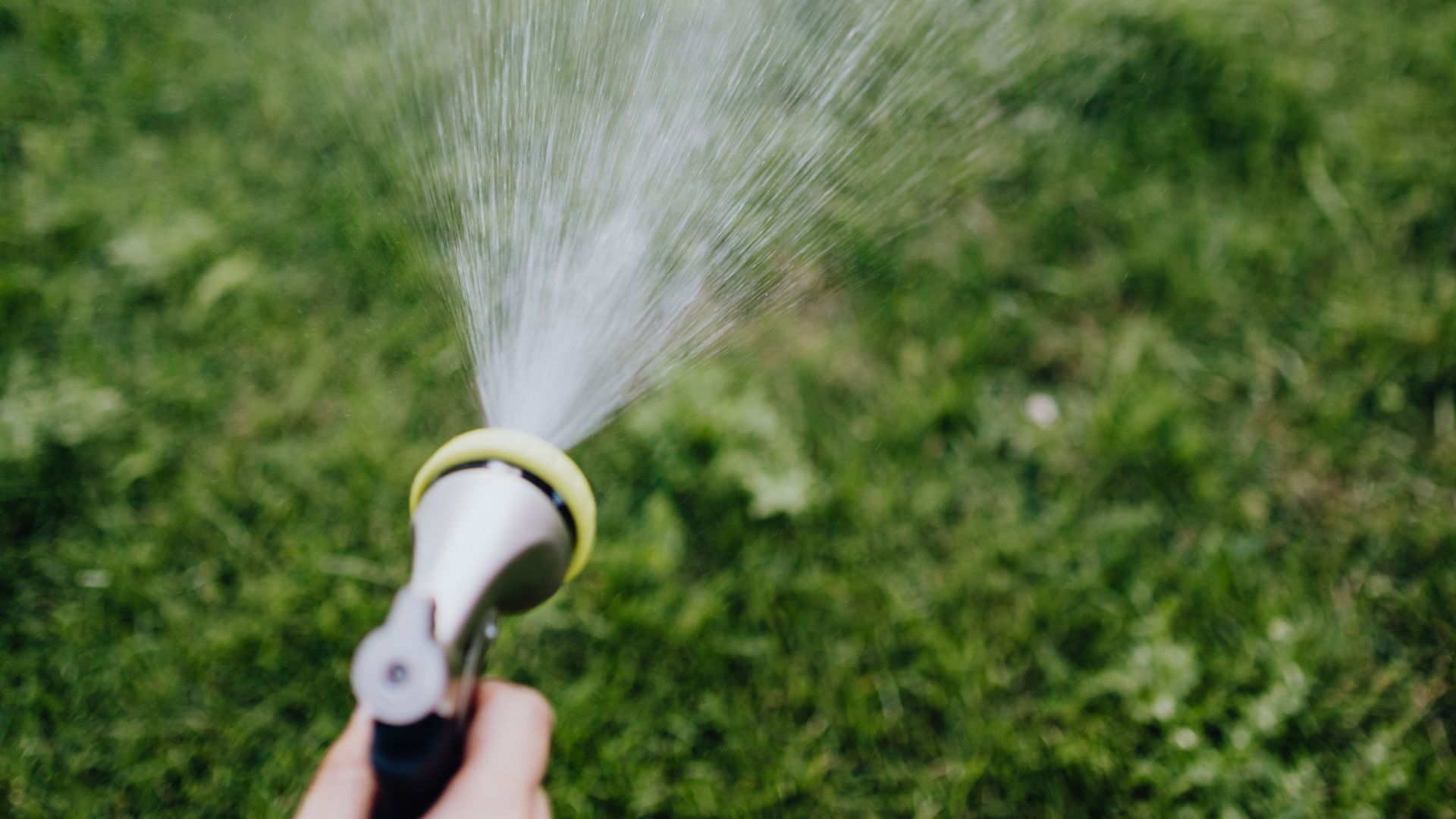 Close-up of a hand holding a hose spraying water on a green lawn outdoors in a sunny setting.