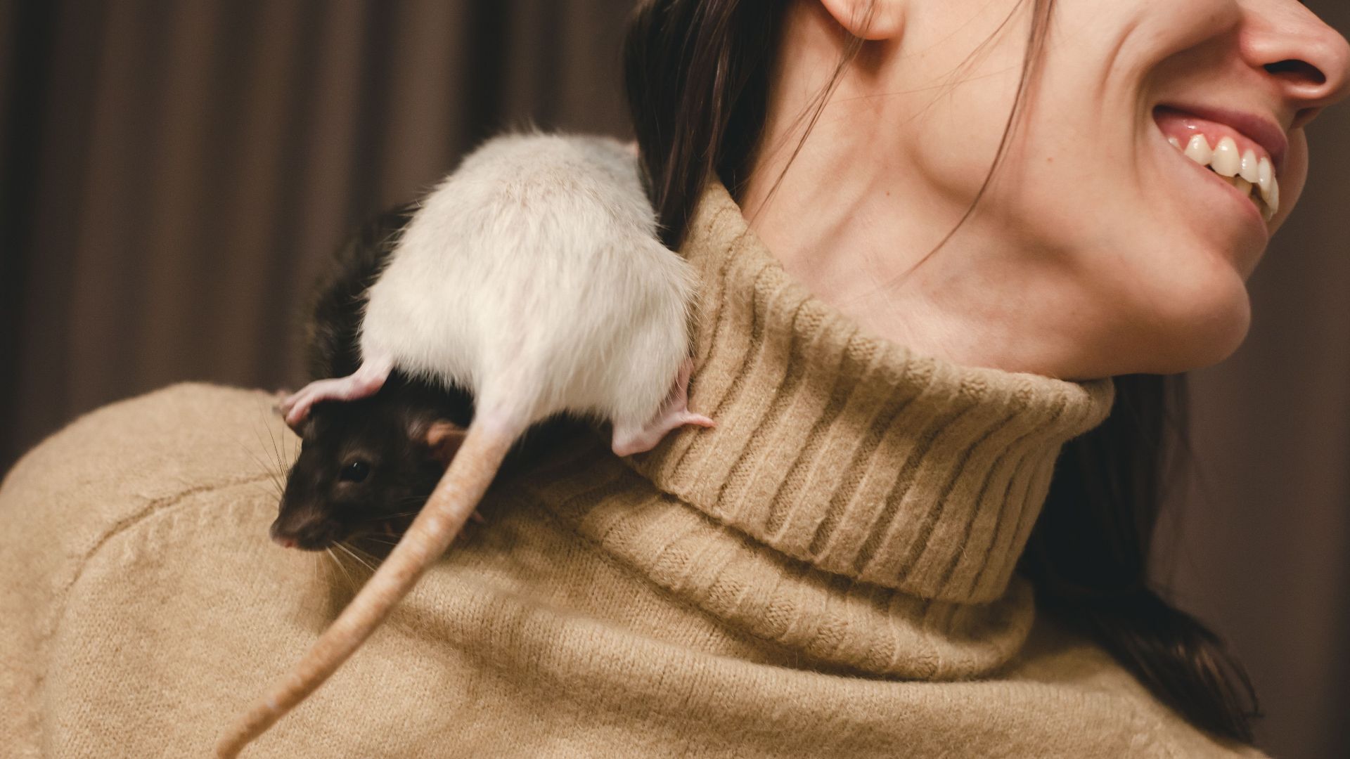 Close-up of a woman smiling with a rat on her shoulder wearing a turtleneck sweater.