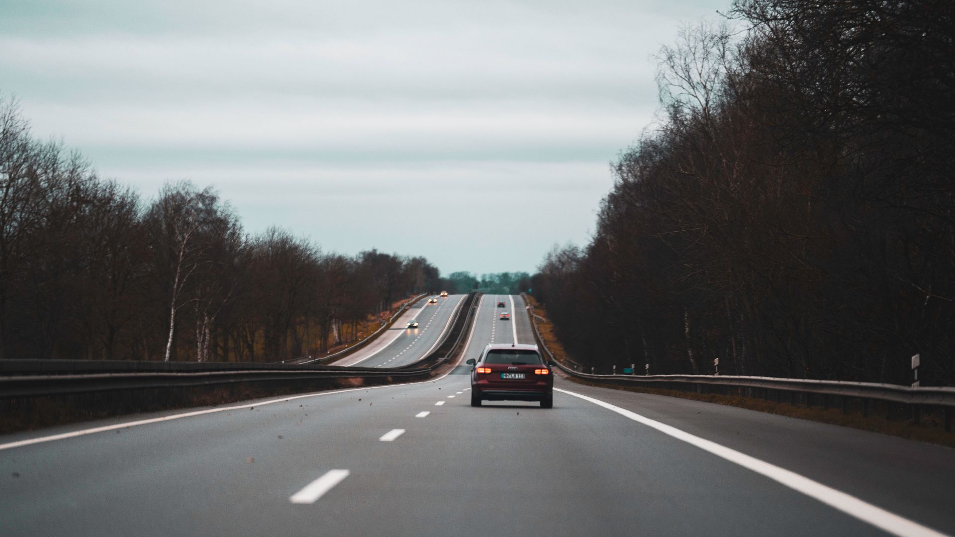 Modern cars driving on asphalt roadway between leafless trees on cloudy autumn day