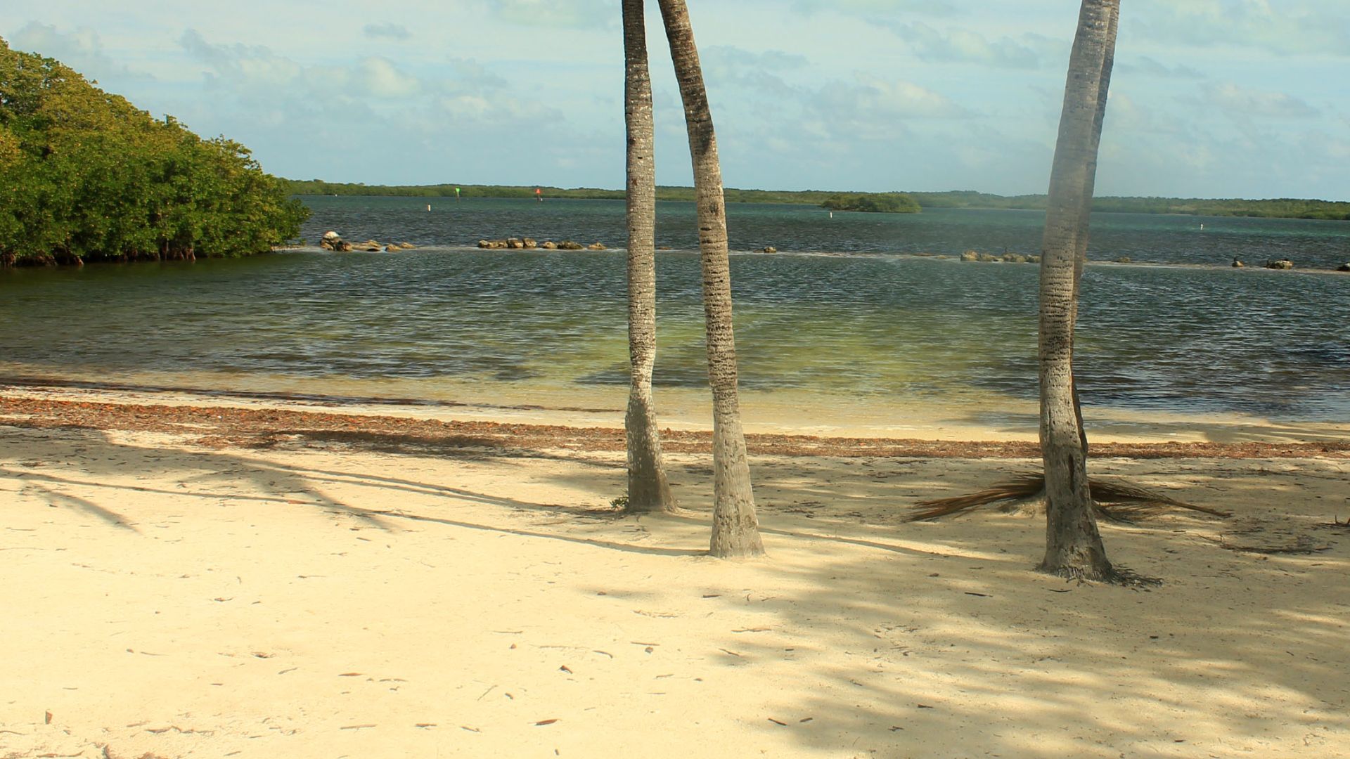 The ocean and other sights at Key Largo. Free Stock photos and public domain pictures of the beaches, the water, and other natural wonders around Key Largo.
A beach and trees at Key Largo