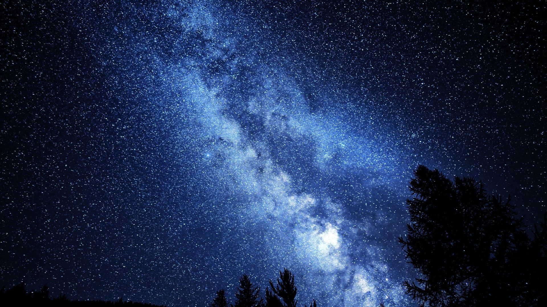 A breathtaking view of the Milky Way galaxy cast over a forest at night.