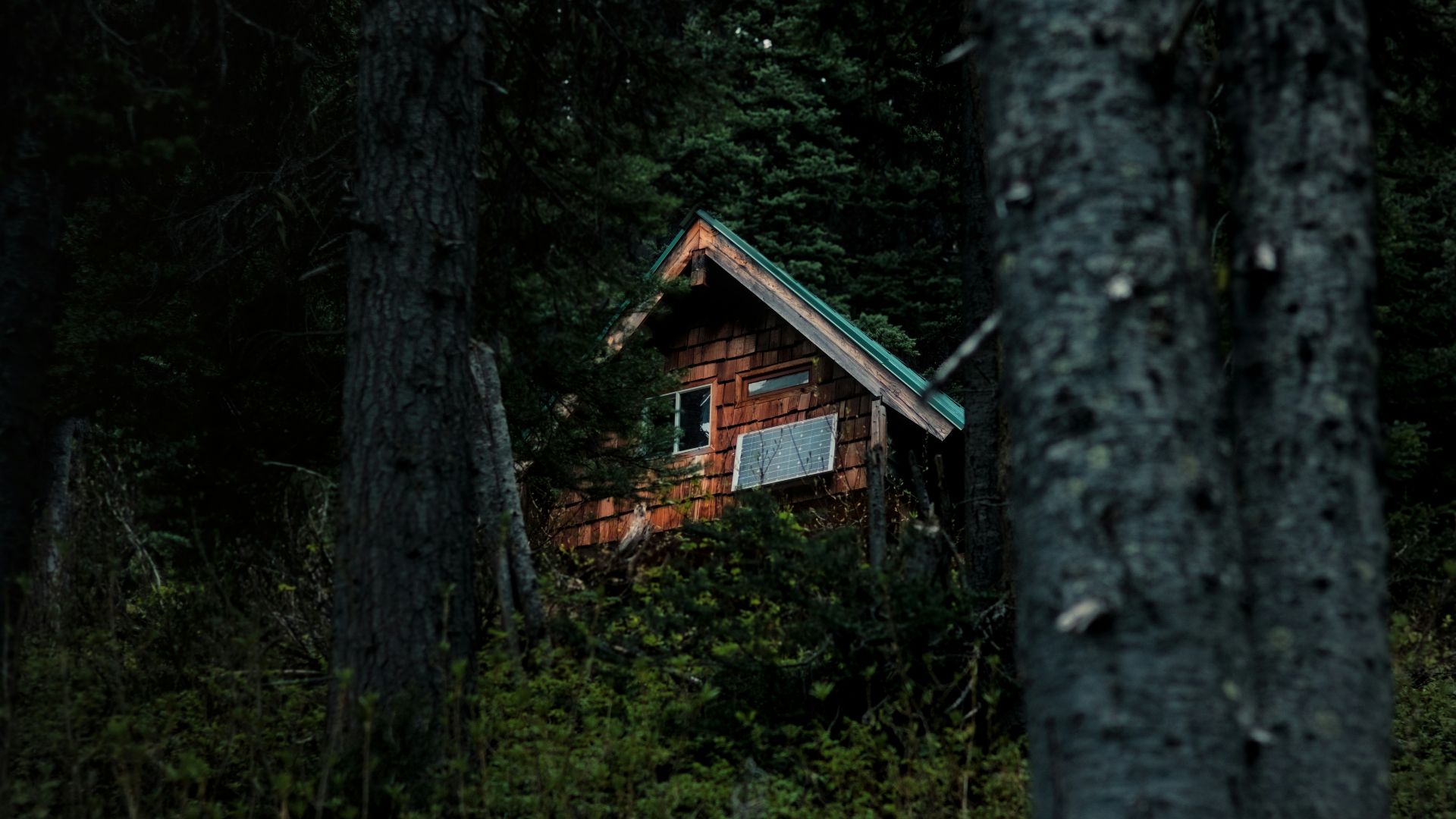 An old wooden cabin peeking through dark forest trees.
