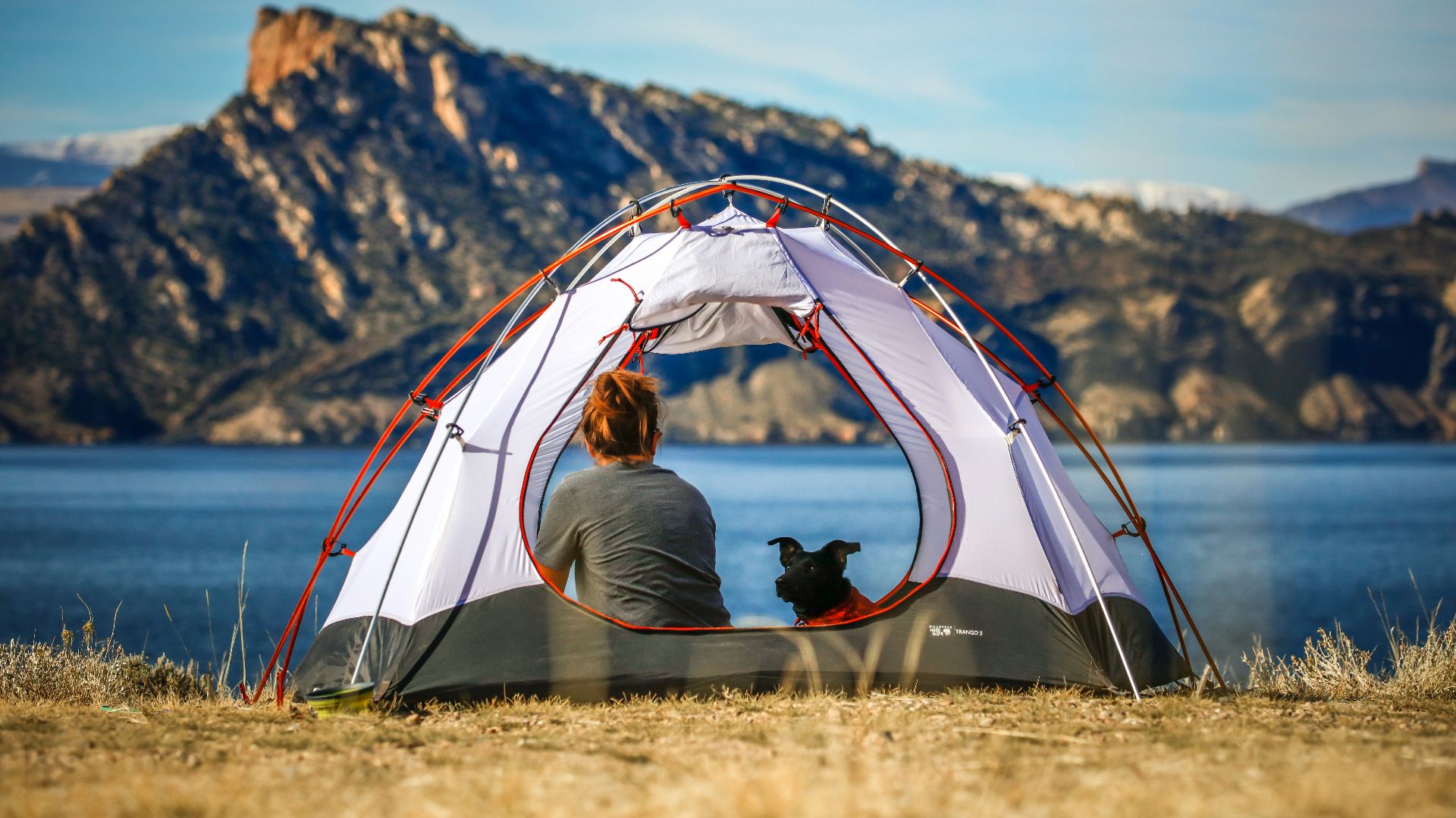 woman and a dog inside outdoor tent near body of water