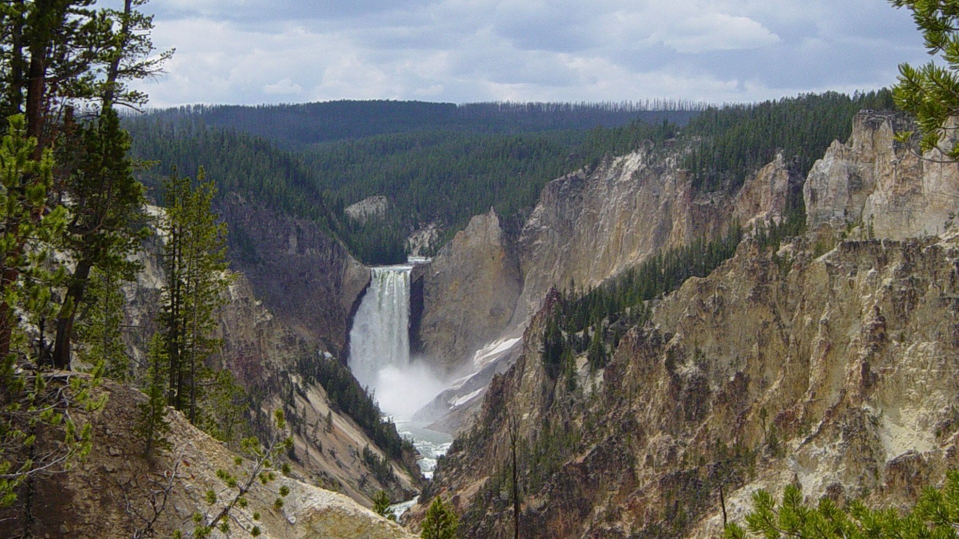 Photo taken in the Yellowstone area.