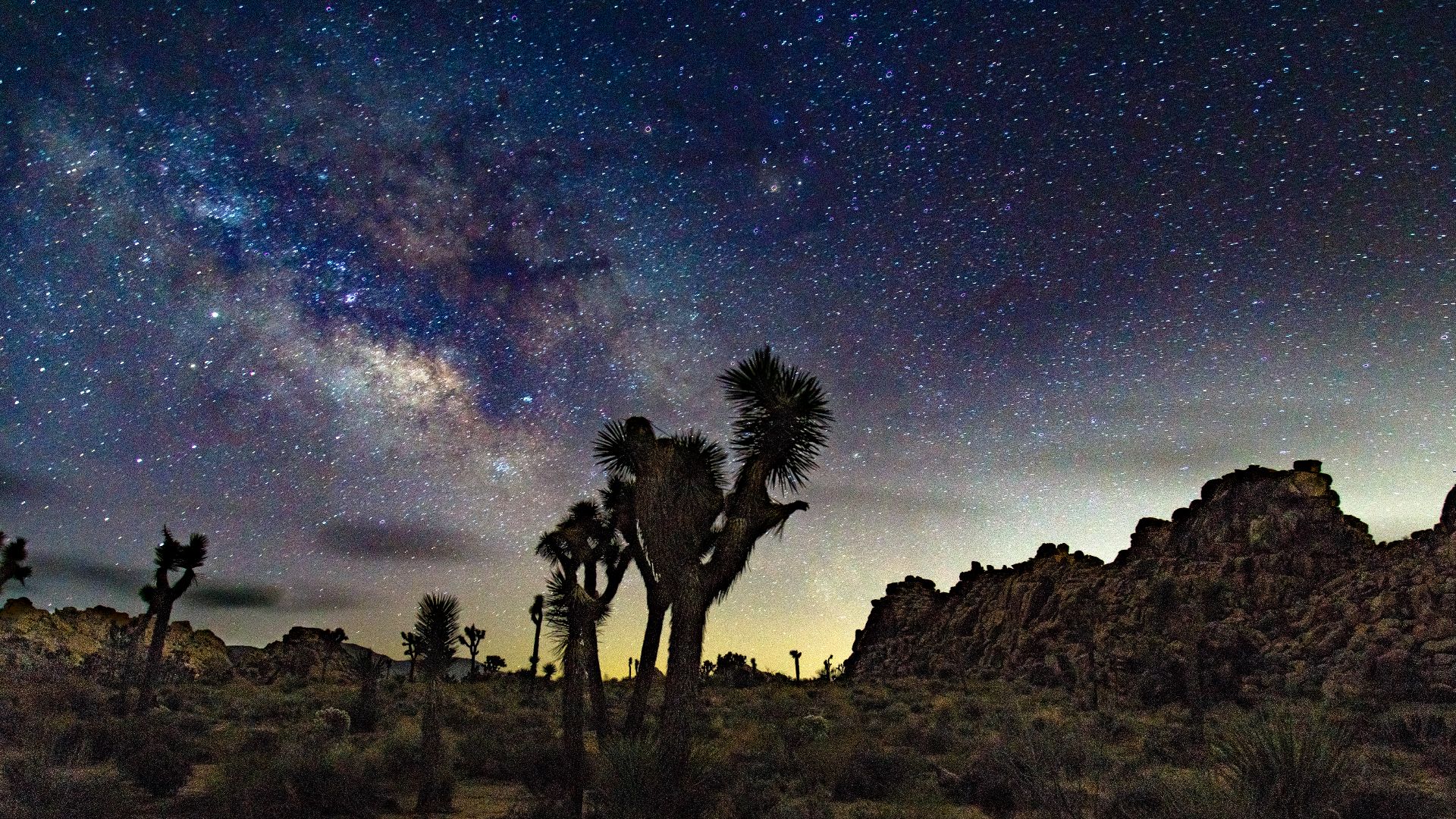 Joshua Tree National Park at night.