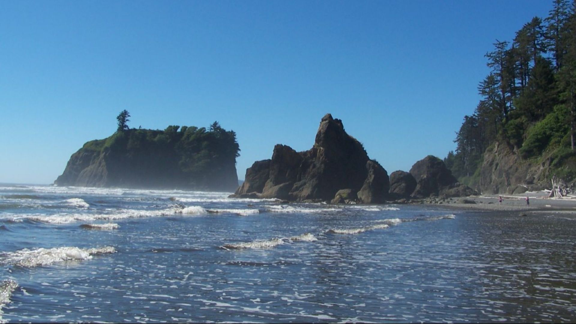 olympic national park, summer 2005

check out my website: brian-m.com