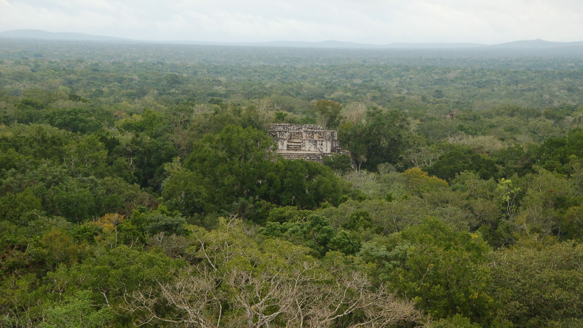 Photo prise depuis le sommet de la structure 2 du site de Calakmúl, Campeche, Yucatán, Mexique
