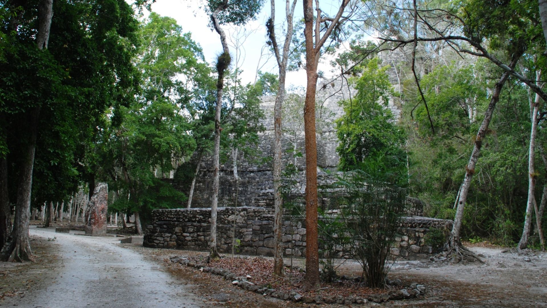 Way theough Calakmul