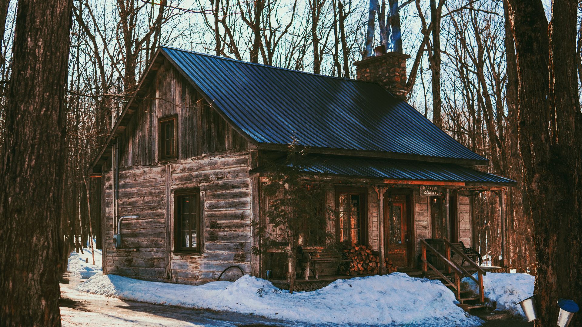 brown wooden house near bare trees during daytime
