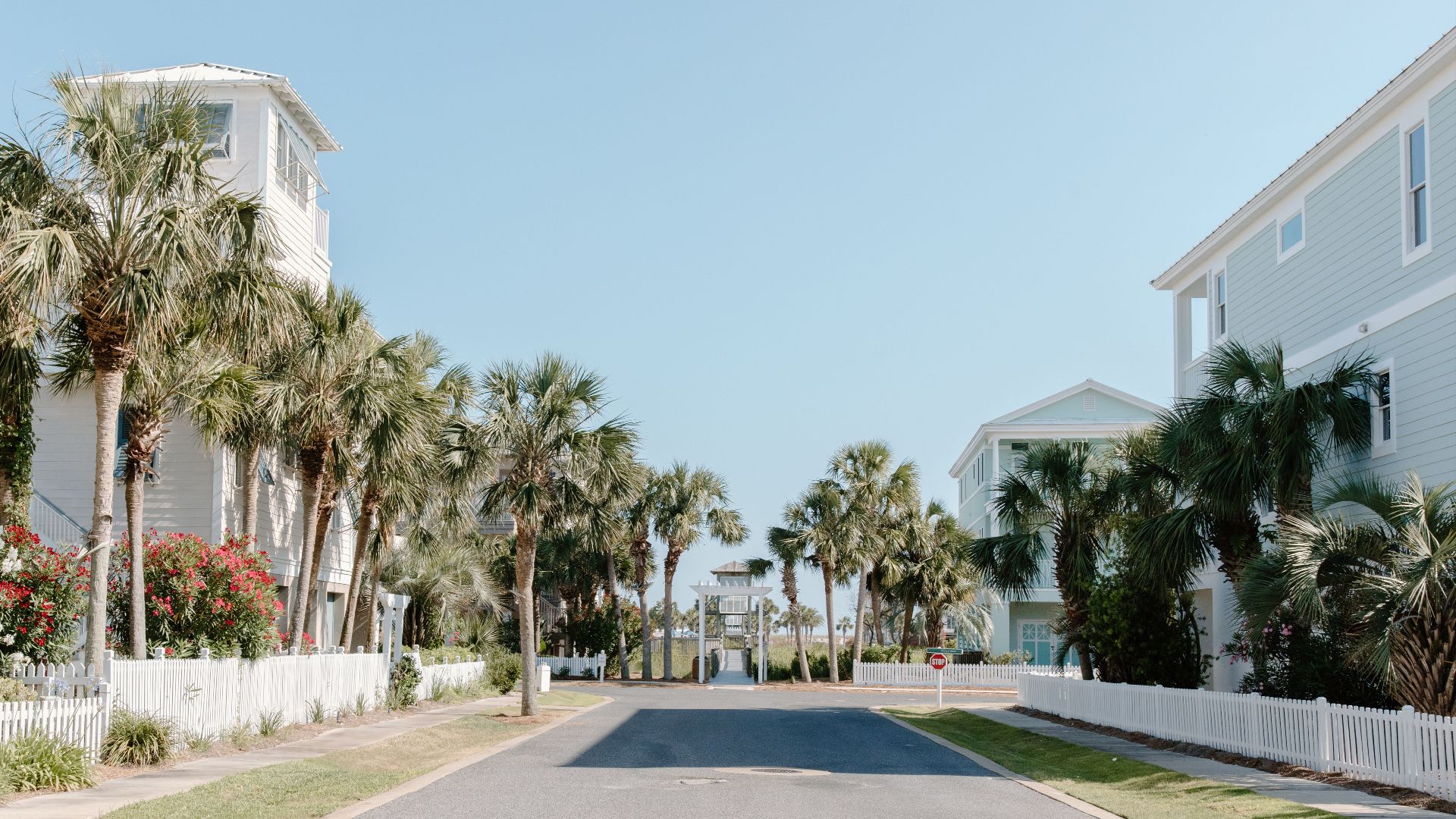 A peaceful coastal street lined with palm trees and charming houses under a clear sky.