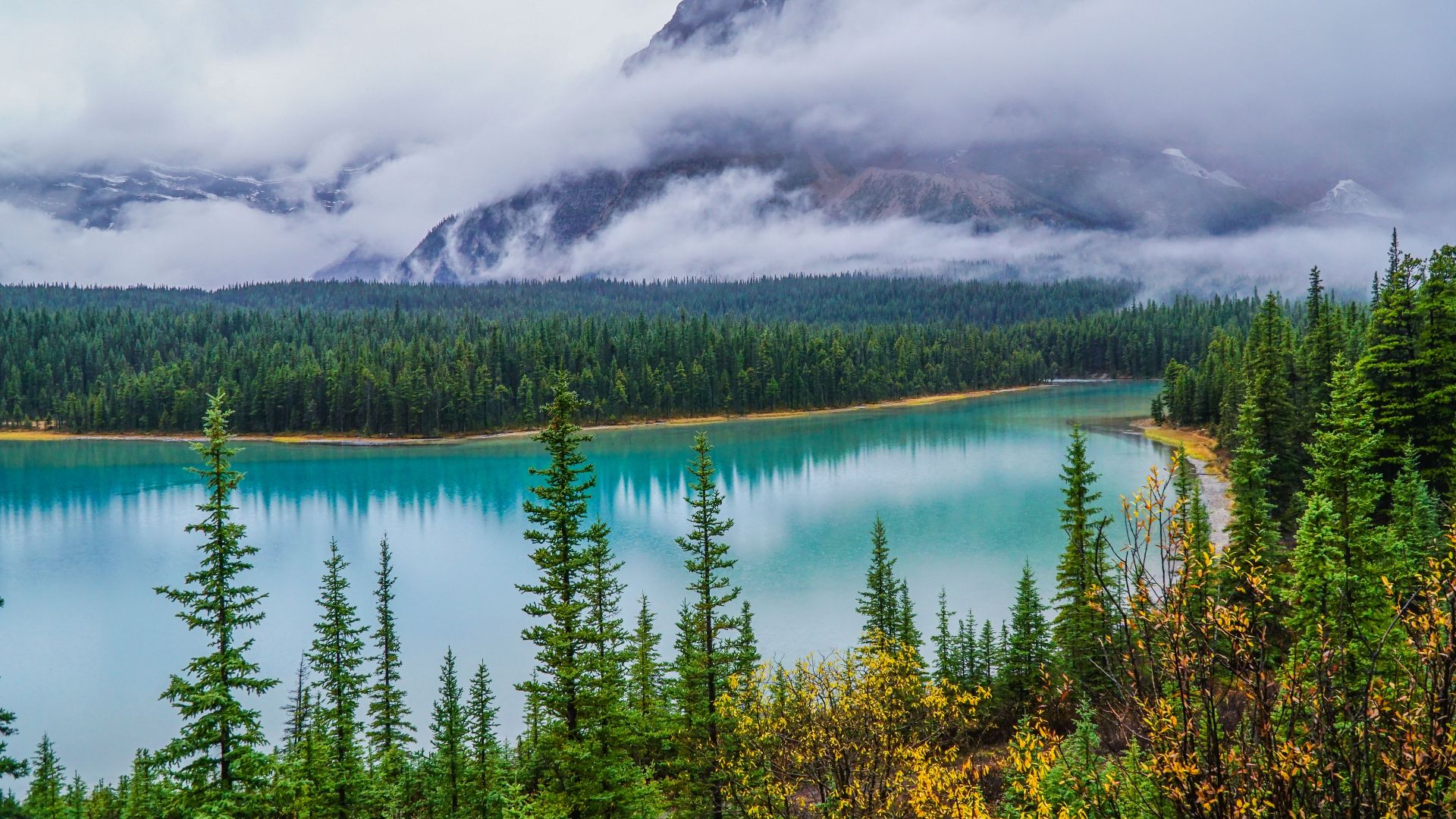 Tranquil view of a misty lake in Banff National Park with lush trees and mountain backdrop.