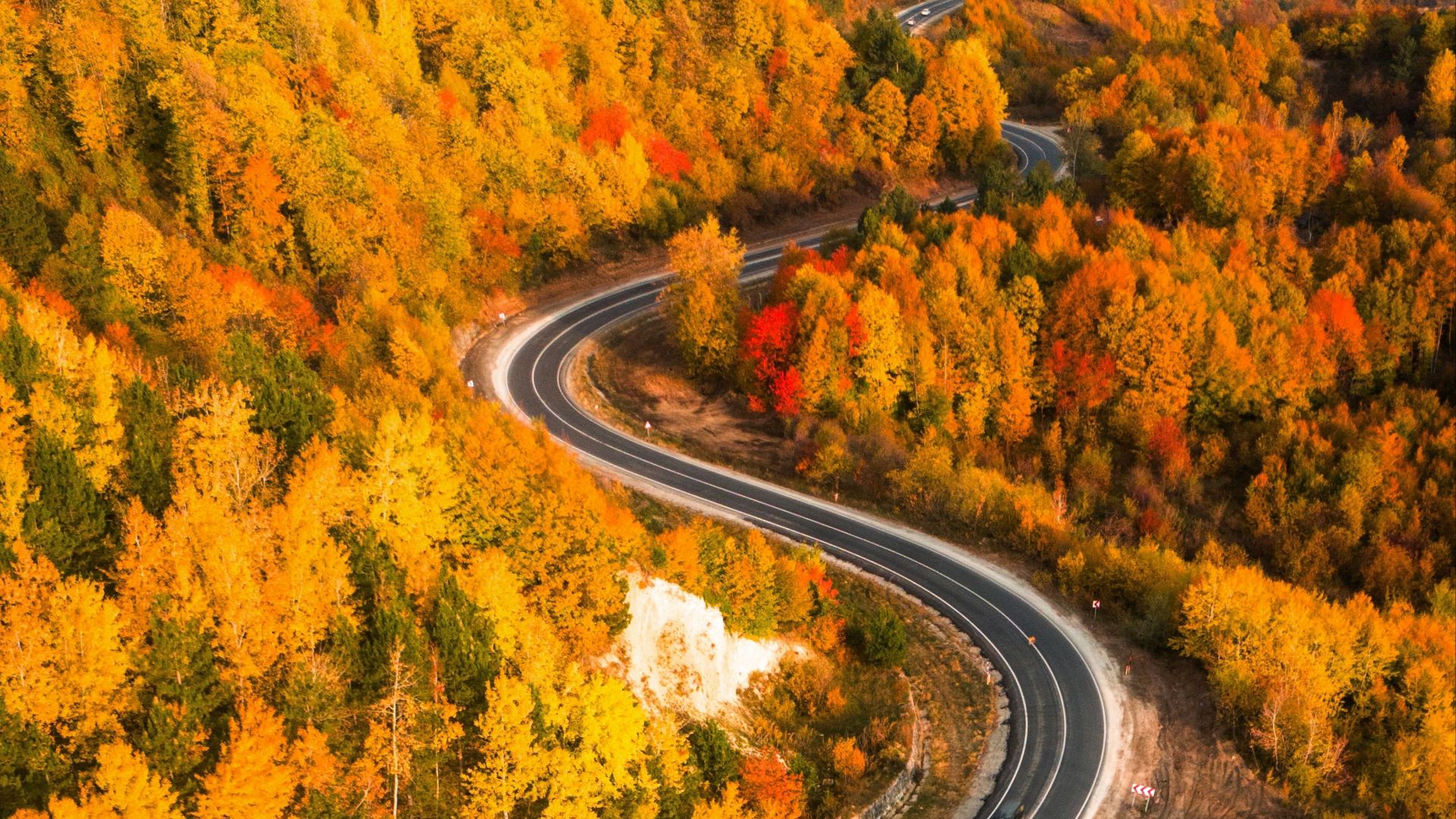 A scenic aerial view of a winding road through vibrant autumn foliage in a hilly forest landscape.