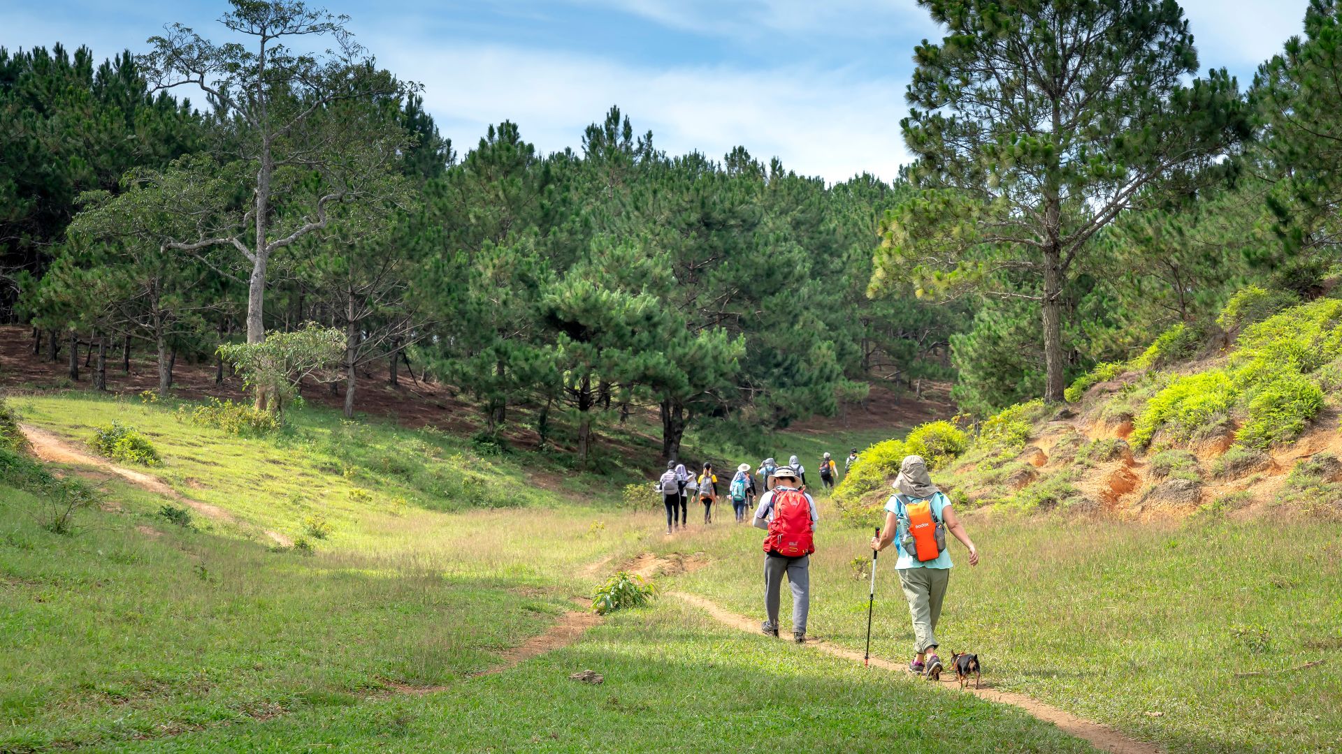 Back view travelers with backpacks strolling along narrow footpath in picturesque lush forest during vacation on sunny day