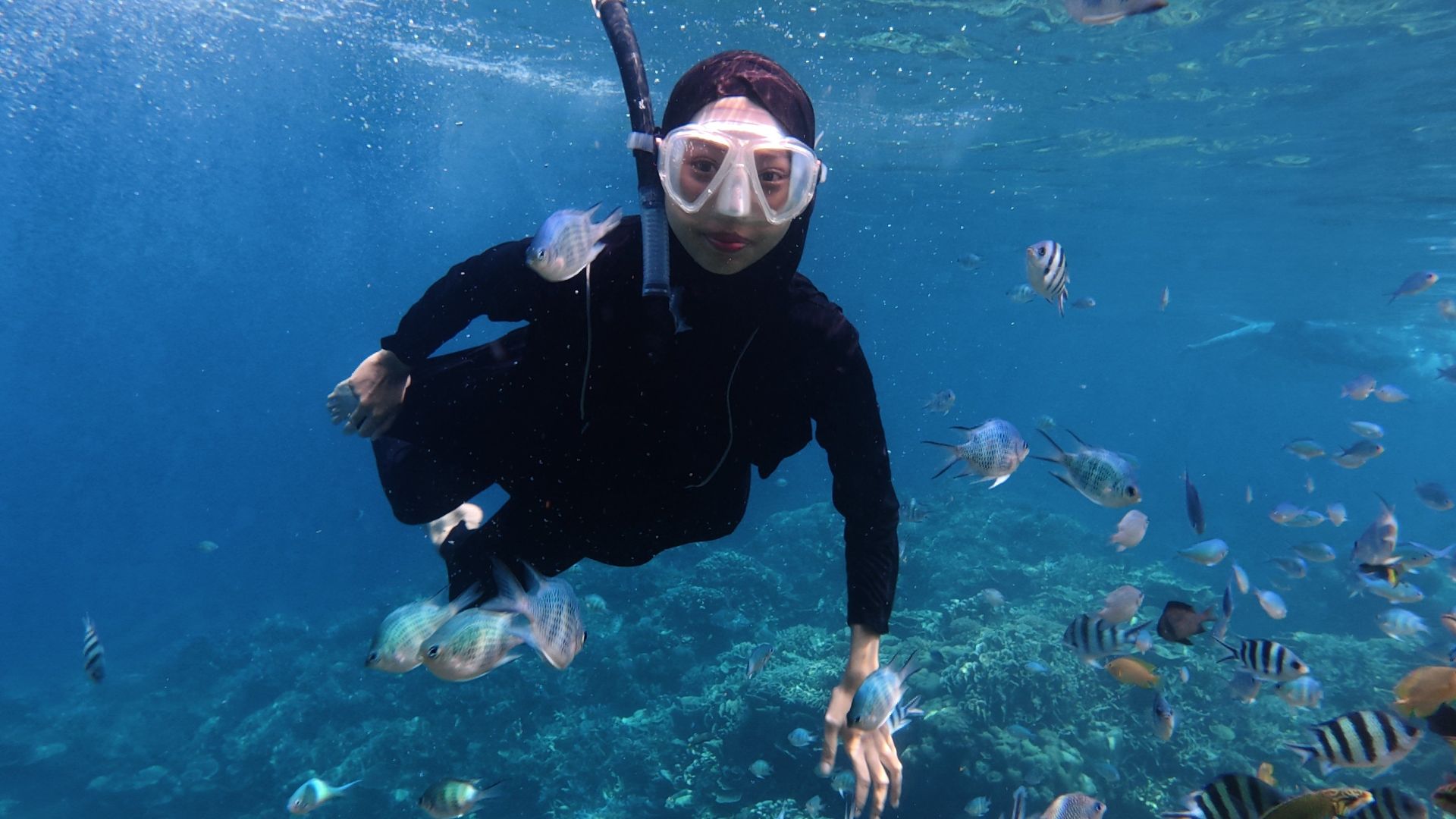 A snorkeler in Jawa Tengah, Indonesia explores vibrant marine life. Perfect for travel imagery.