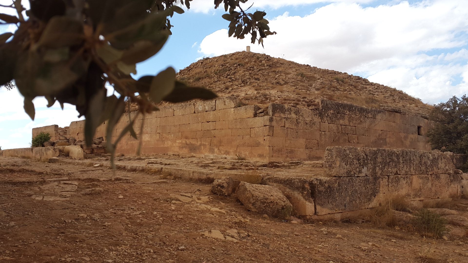 File:Jedars Tiaret.jpg