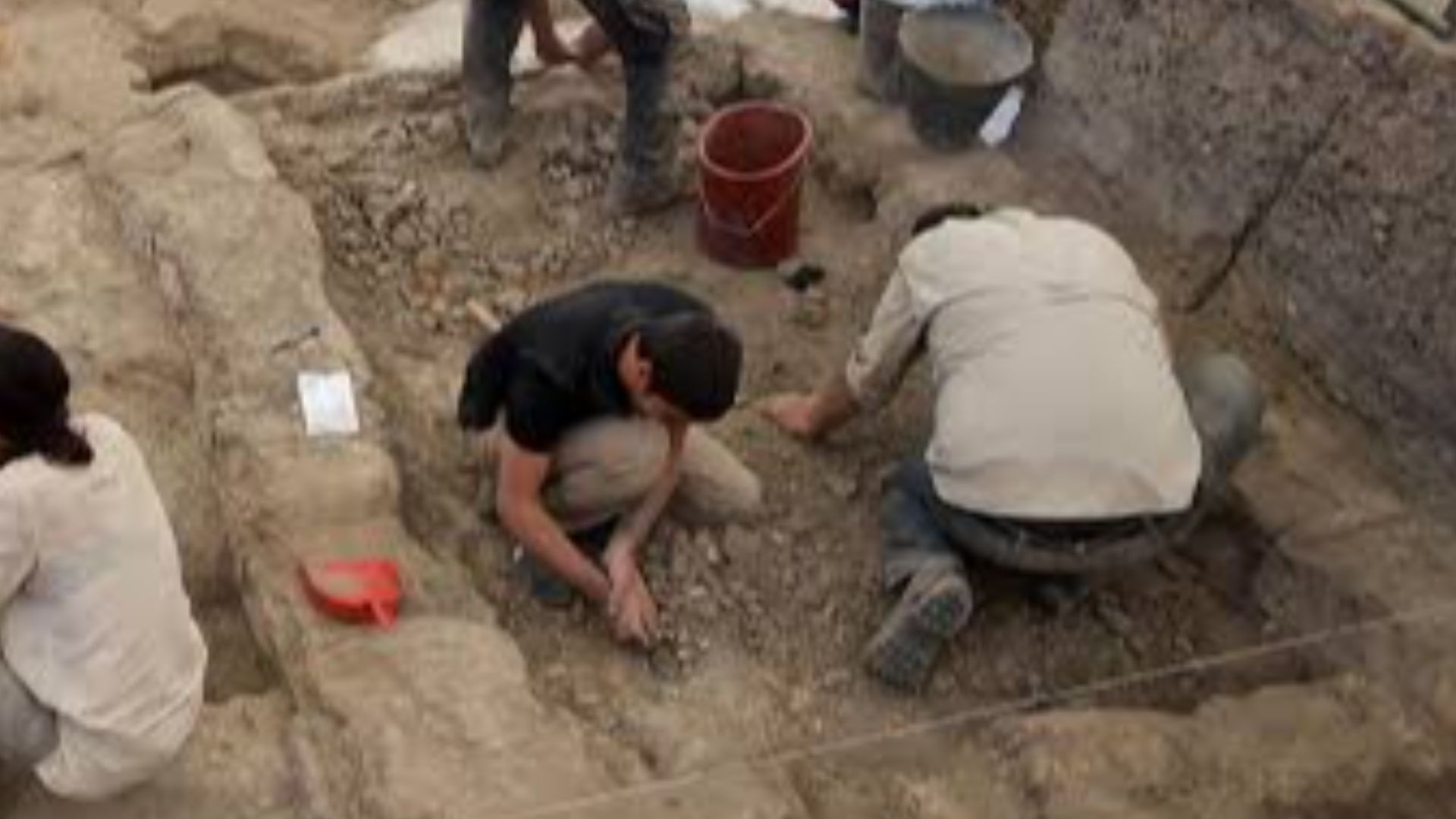 The techniques used in archaeology