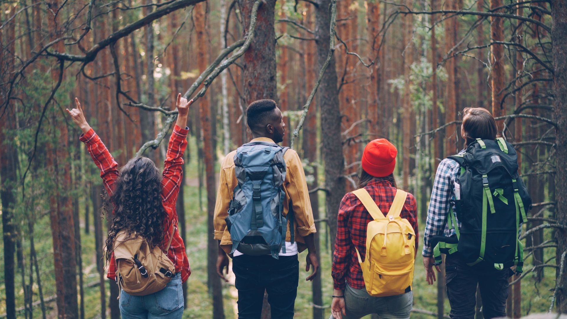 Young diverse friends hiking and exploring a lush green forest.