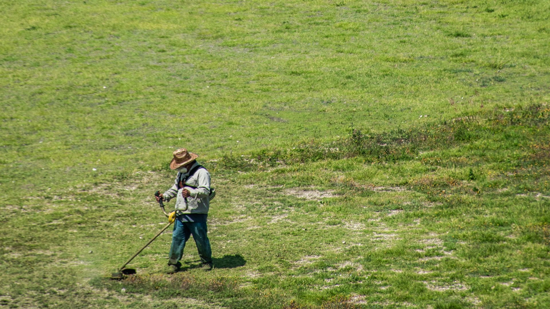 Aerial view of a man using equipment near ancient ruins amidst a vast green lawn.