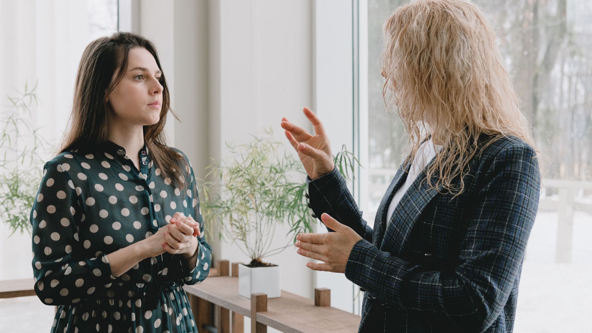 Concentrated young female colleagues in elegant outfits standing near window in light office and discussing project