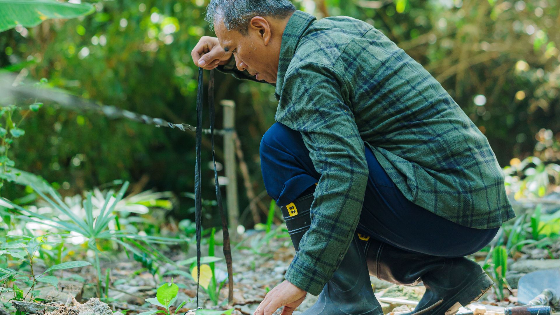 An elderly man kneels while gardening in a verdant outdoor setting, surrounded by lush greenery.