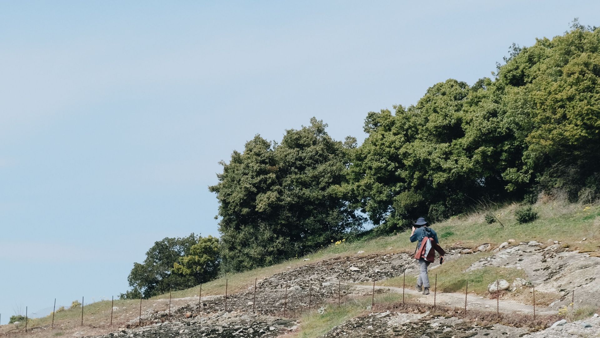 A lone hiker climbs a rocky trail with lush trees in the background on a clear day.