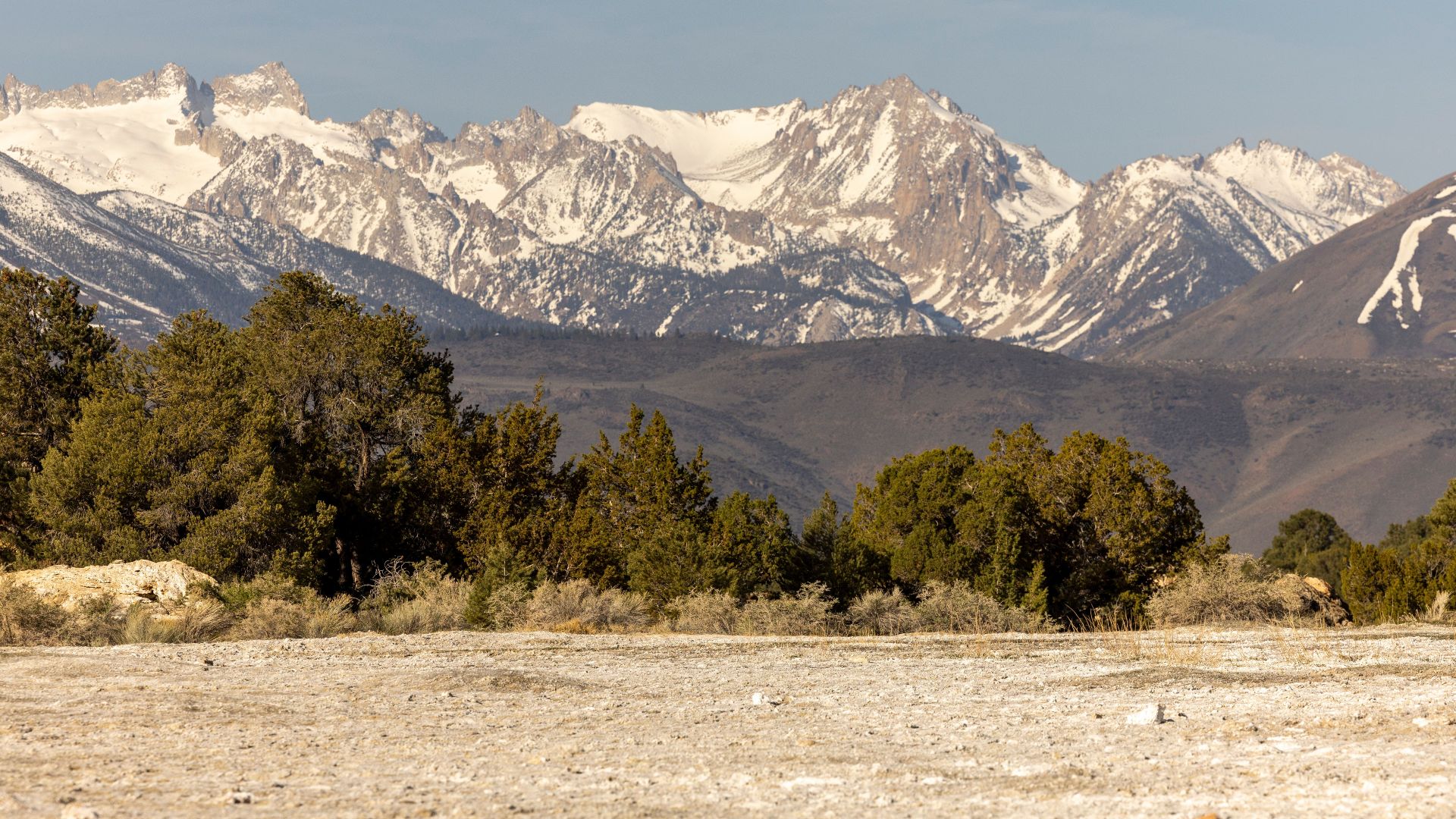Scenic view of snow-capped mountains and forest under a clear blue sky.