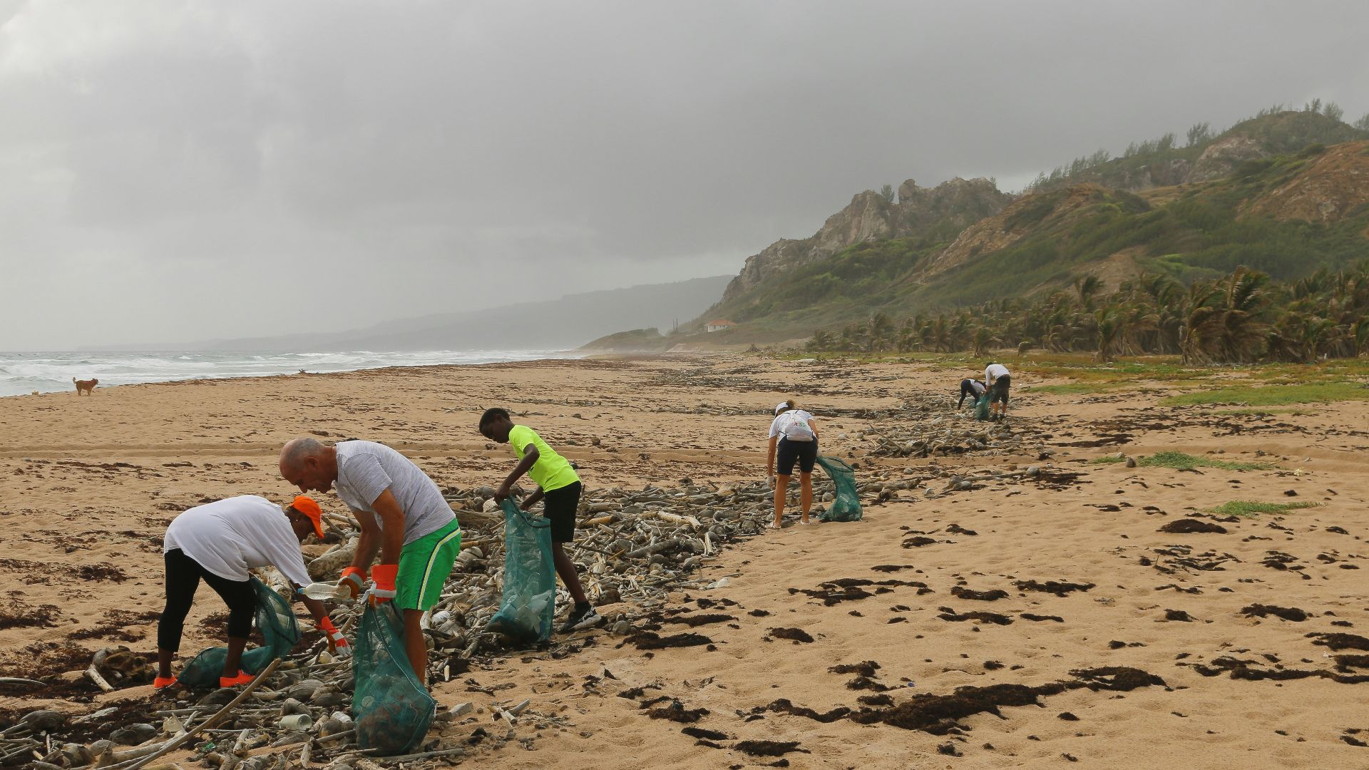 people picking garbage near beach