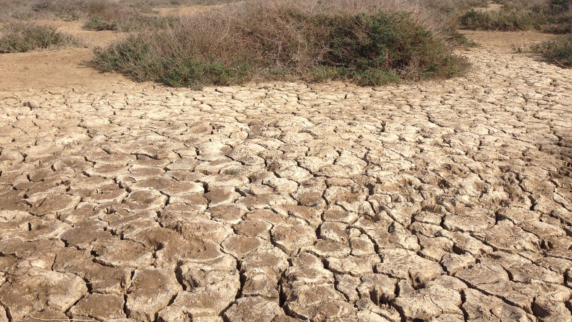Drought in the valley