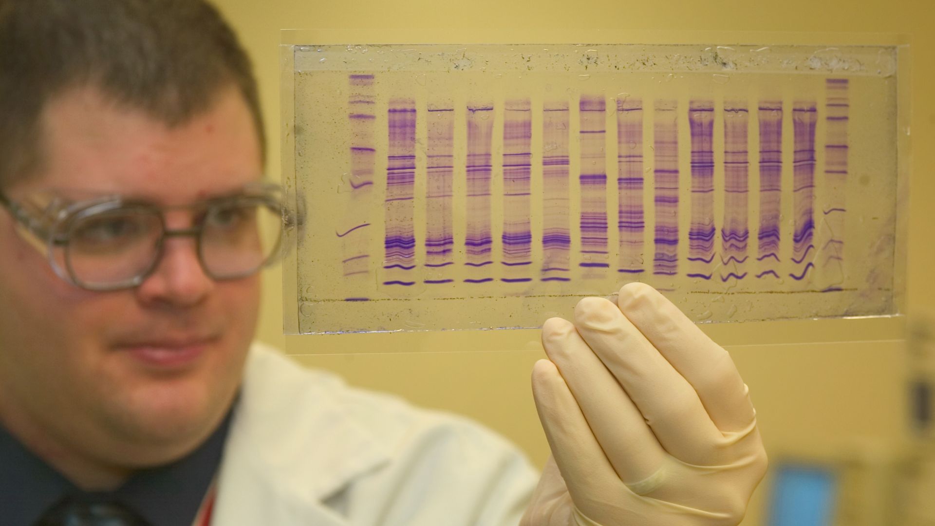 A U.S. Customs and Border Protection chemist reads a DNA profile to determine the origin of a commodity.