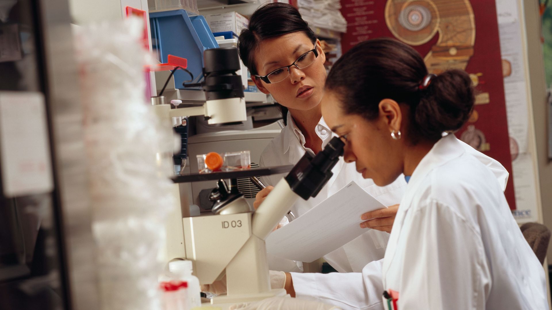 Title Researcher Looks Through Microscope
Description An African American female researcher looks through a microscope as an Asian female looks on.
Topics/Categories  Locations -- NIH National Cancer Institute -- People People -- Health Professional Scien