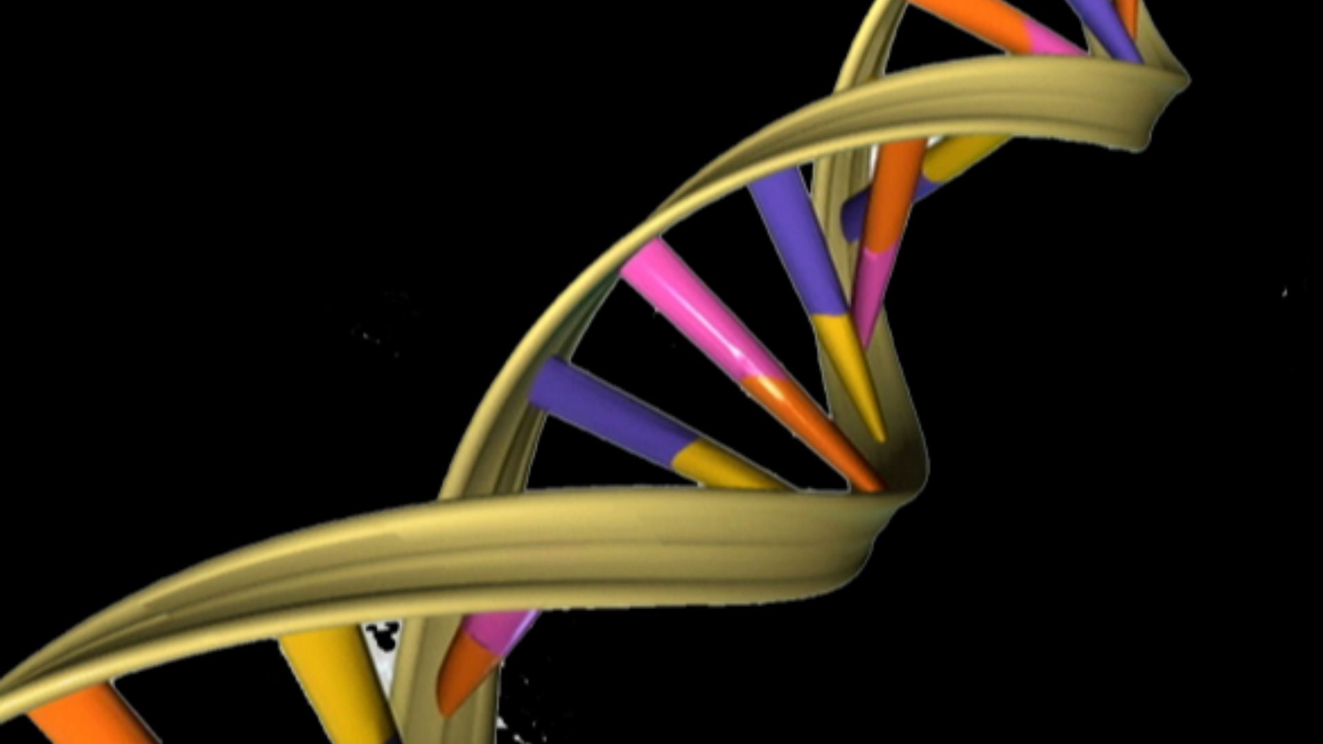 DNA Double Helix