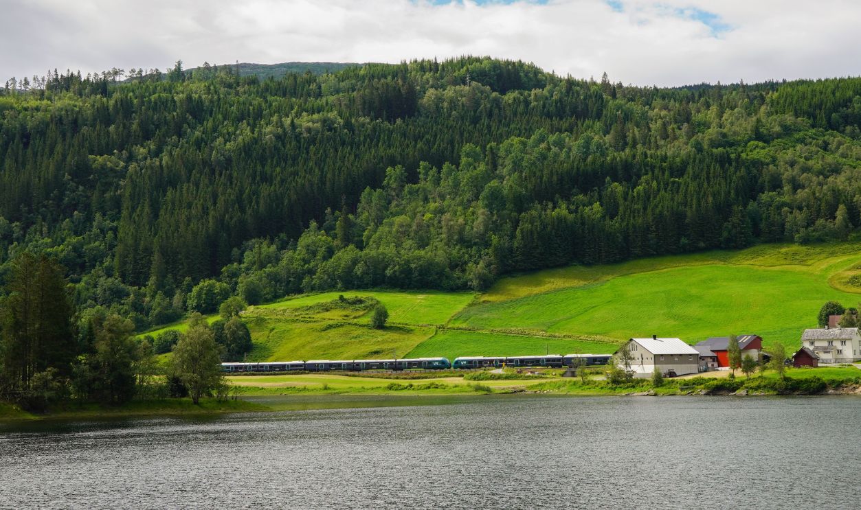 A picturesque view of a train traveling through Norway's lush green countryside near a tranquil lake