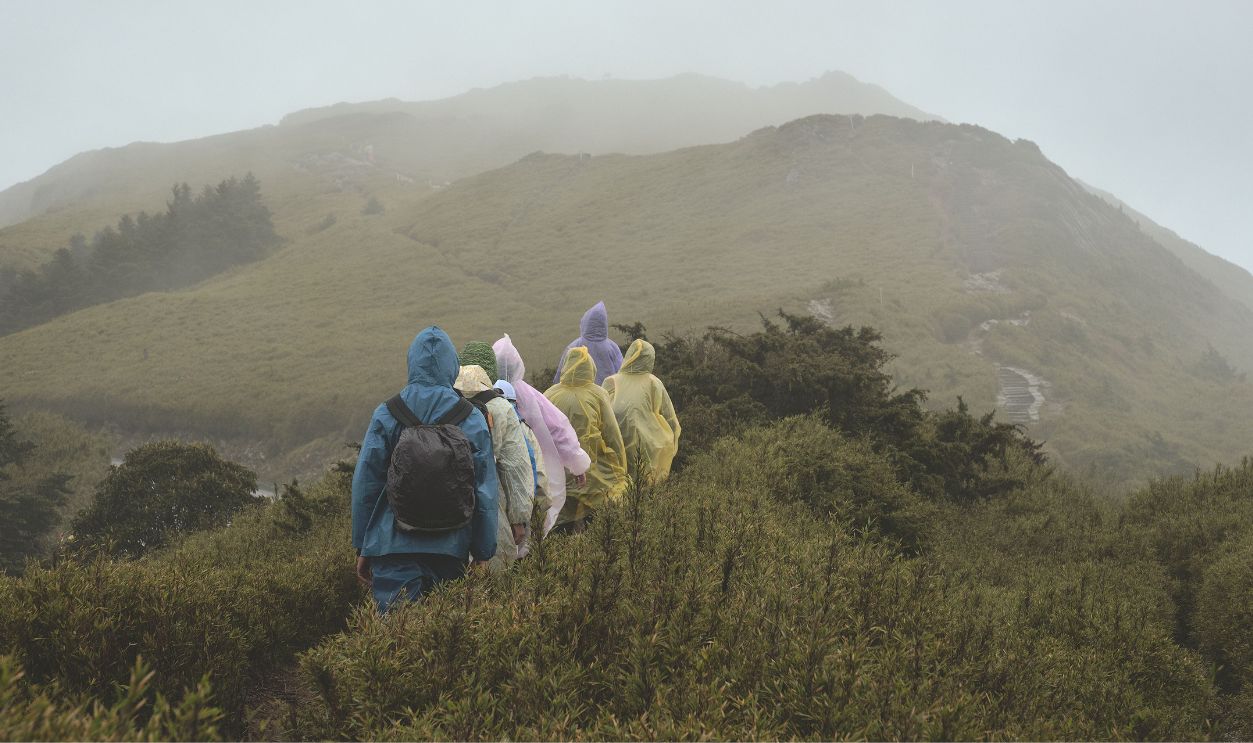 A group of hikers in colorful raincoats trekking through Taiwan's misty mountains