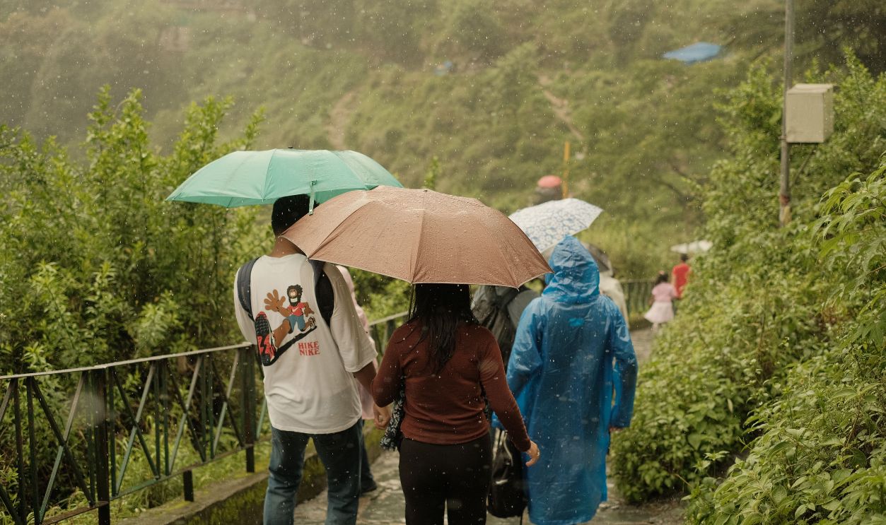 People strolling under colorful umbrellas in a lush green setting on a rainy day