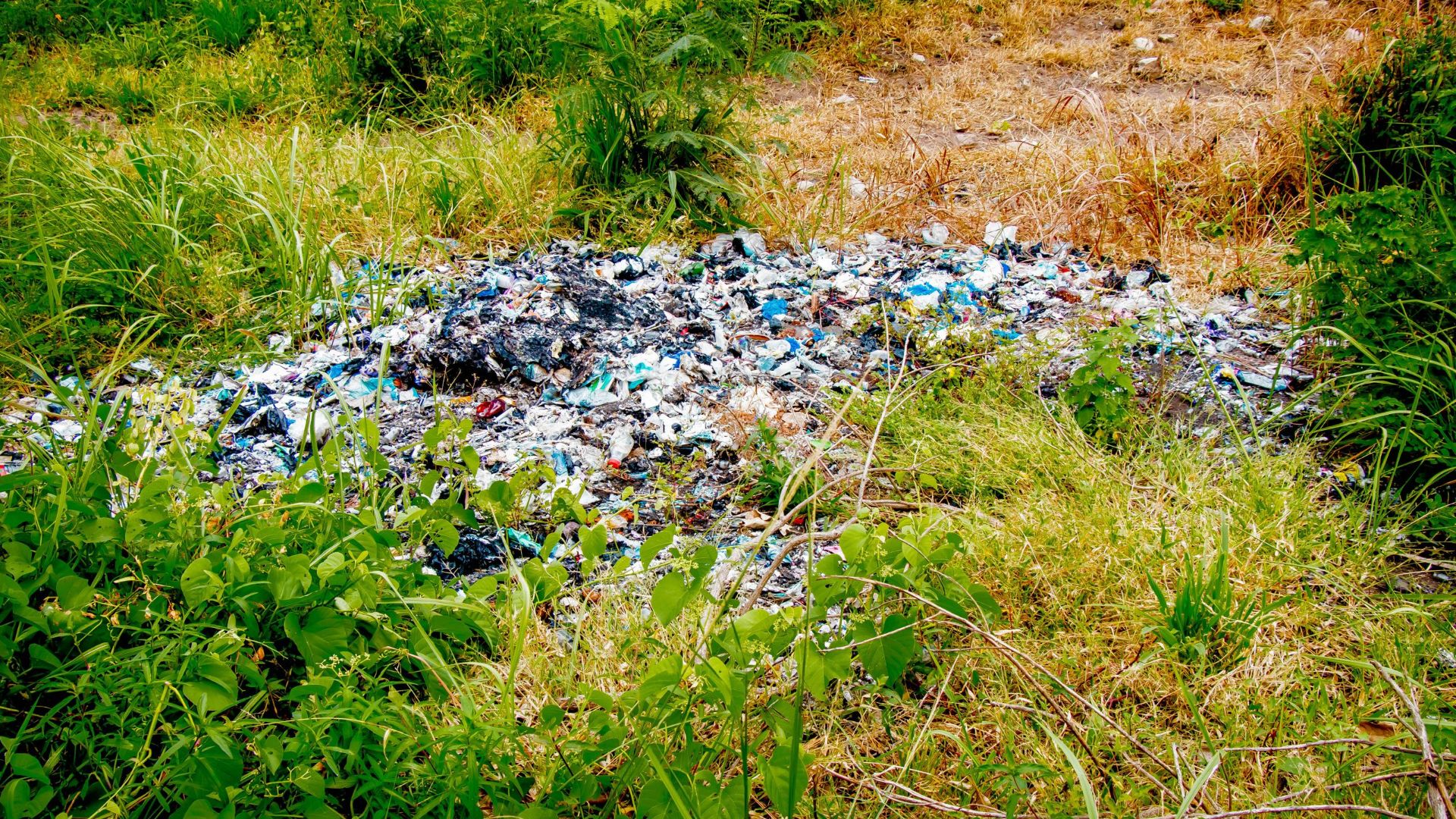 Solid waste refers to any discarded or unwanted materials. It includes various items such as paper, plastics, glass and food waste.