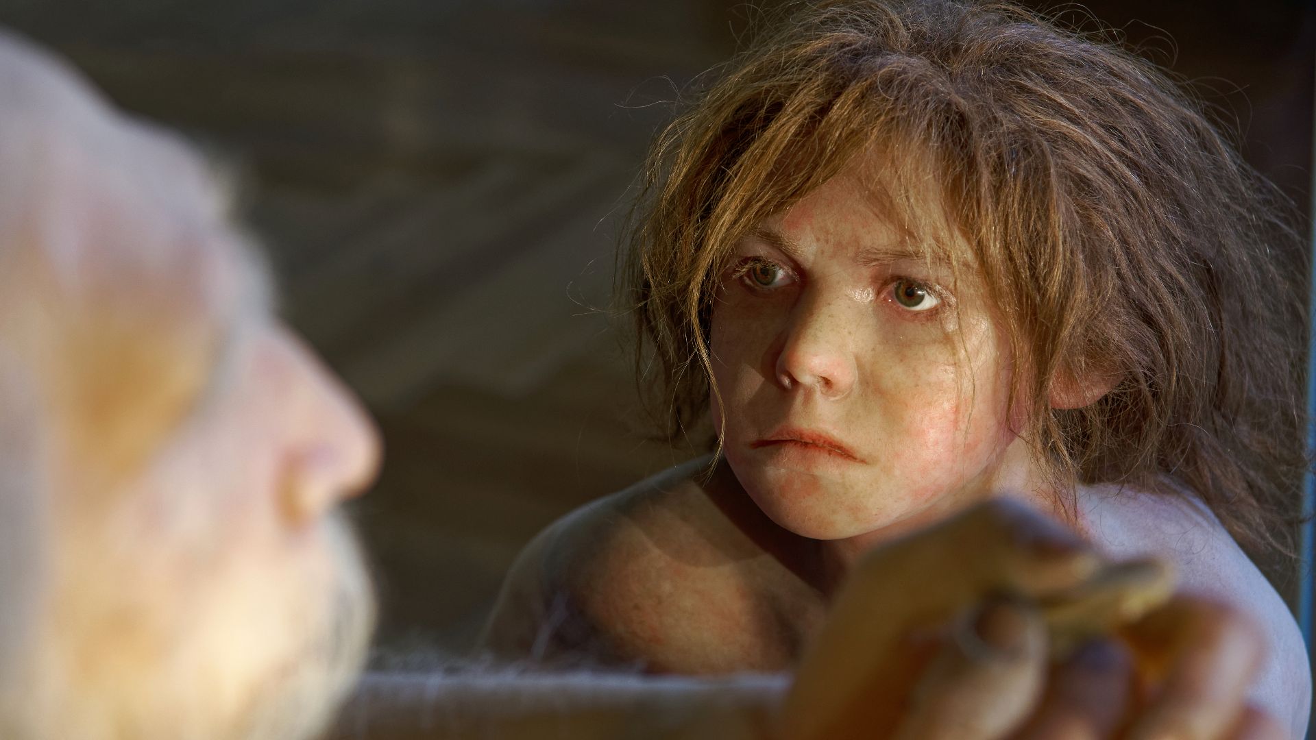 Model of Homo neanderthalensis child in The Natural History Museum, Vienna