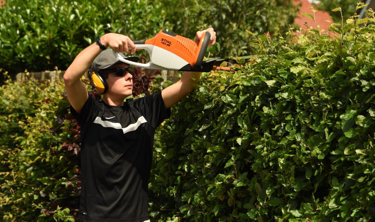 Adult man wearing shorts uses power trimmer on garden hedge