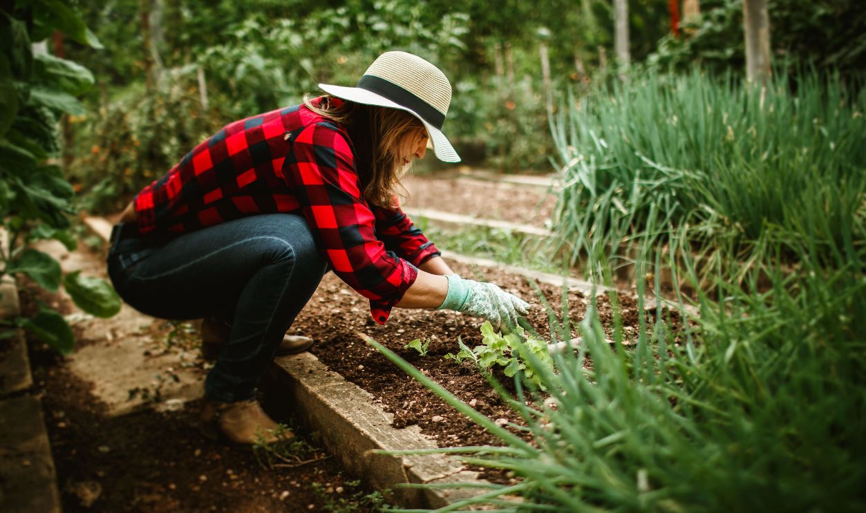 A woman in a hat and plaid shirt gardening outdoors