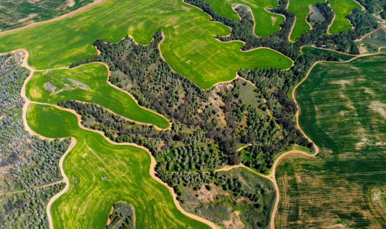 A stunning aerial view of lush green farmlands with intricate patterns from above