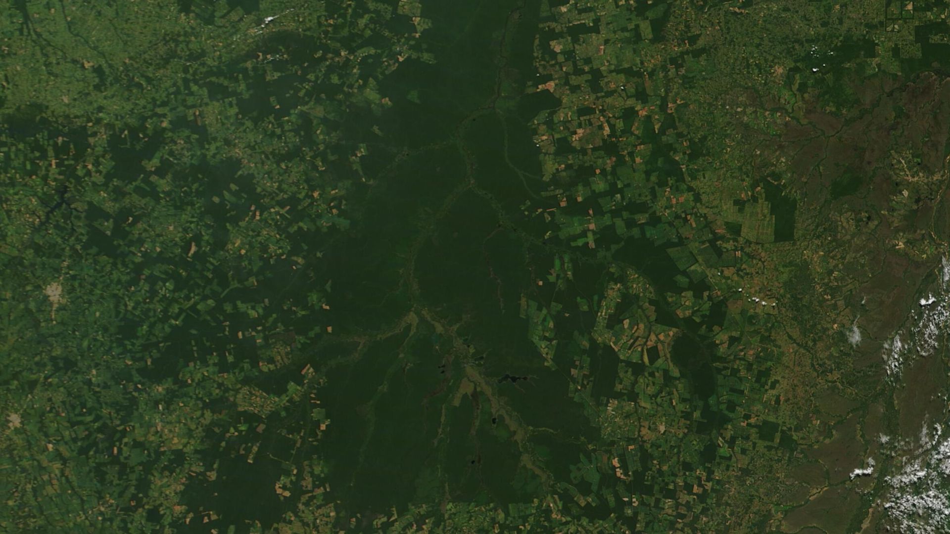 The state of Mato Grosso sits deep in the Amazon interior of Brazil. Once covered with verdant green rainforest and isolated, the incursion of railroads, highways, and airplanes eventually connected Mato Grosso to the outside world. By the early twenty-fi